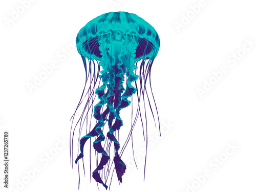jellyfish isolated blue turquoise
