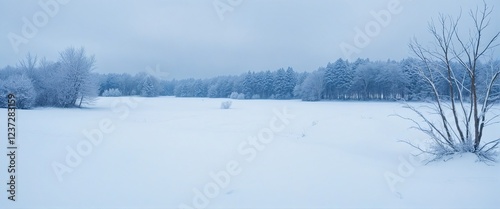 Winter Color Palette