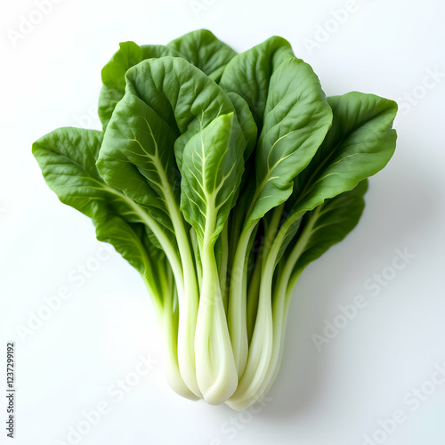 Fresh Bok Choy With Crisp Green Leaves And Tender Stems On Isolated Background