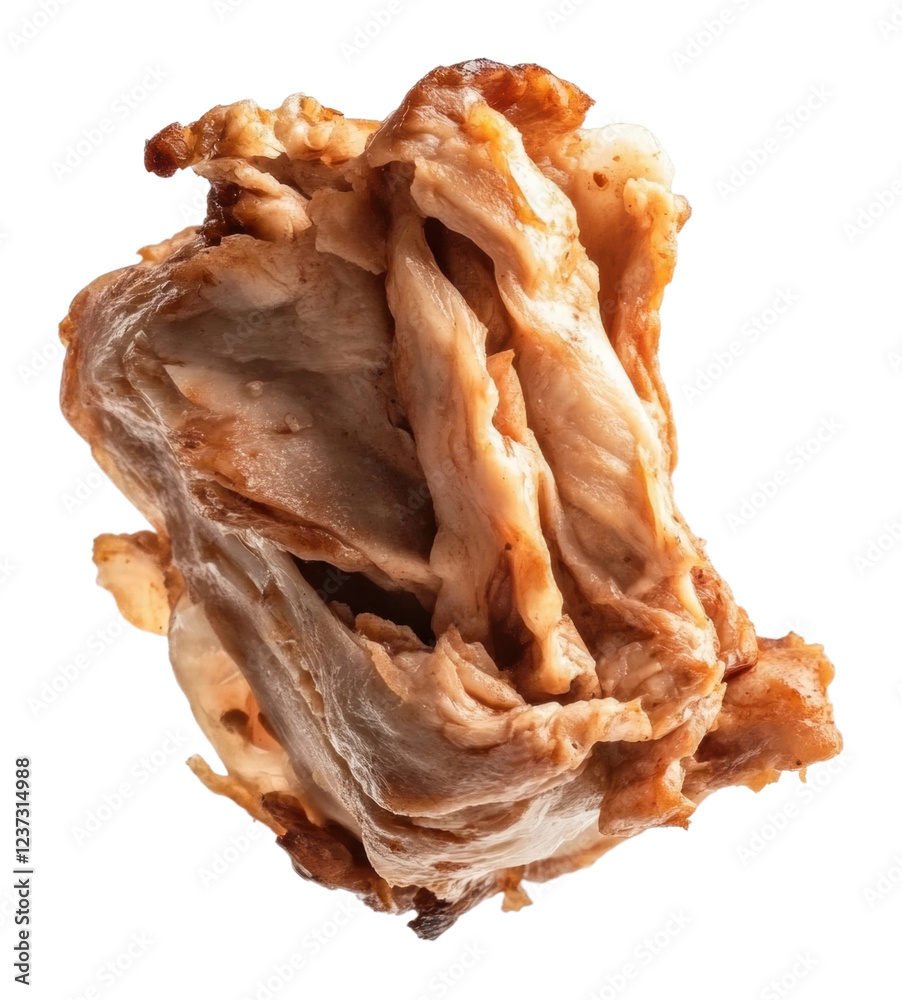 Fototapeta premium Tender grilled chicken piece with crispy edges isolated on transparent background