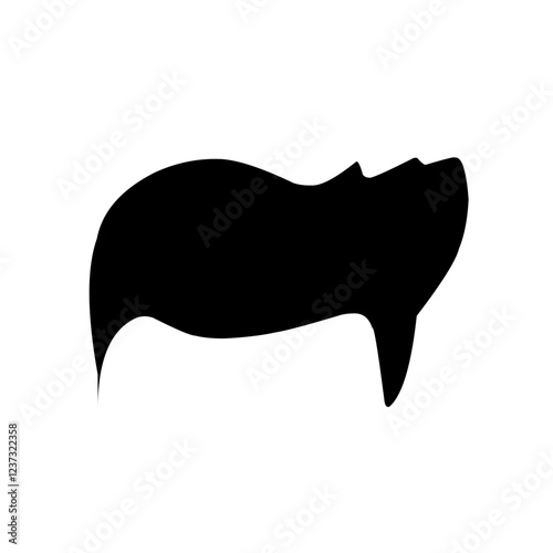 Silhouettes of hair styling