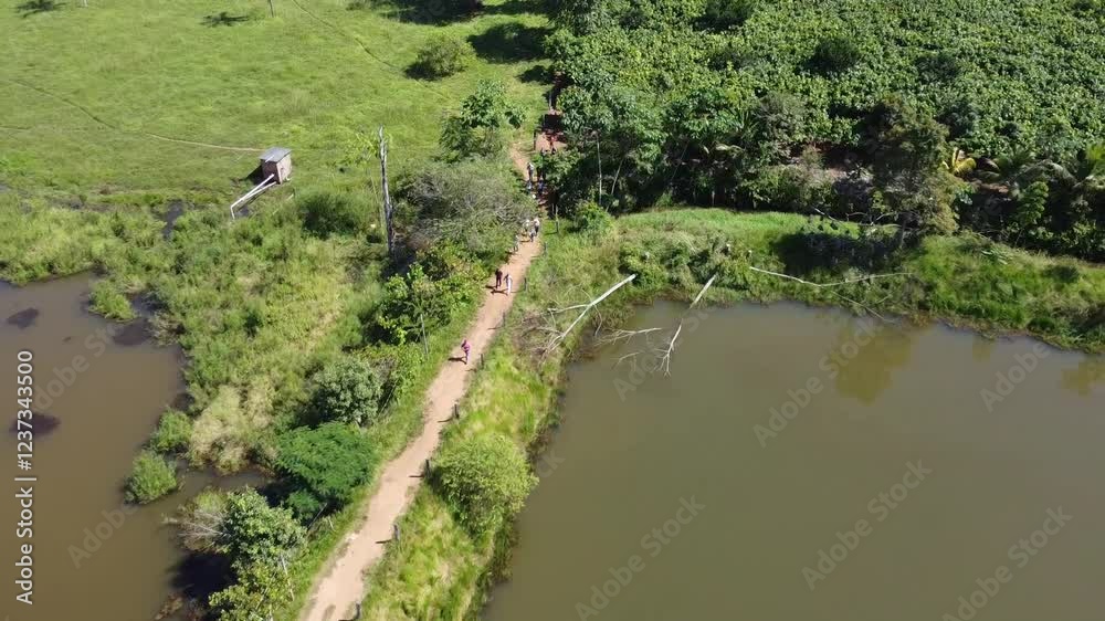 Pessoas em plantação de cacau em Rondônia, Brasil