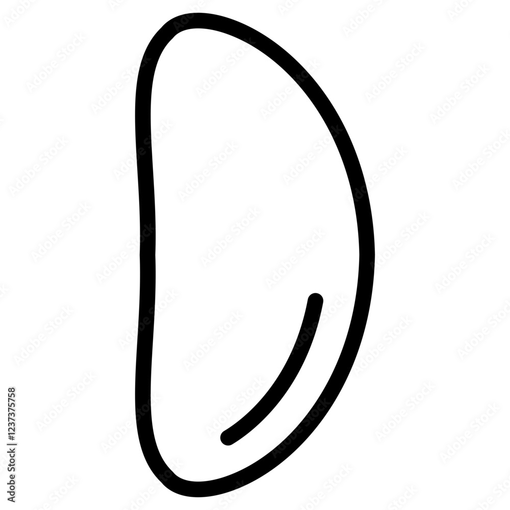 브라질넛 아이콘