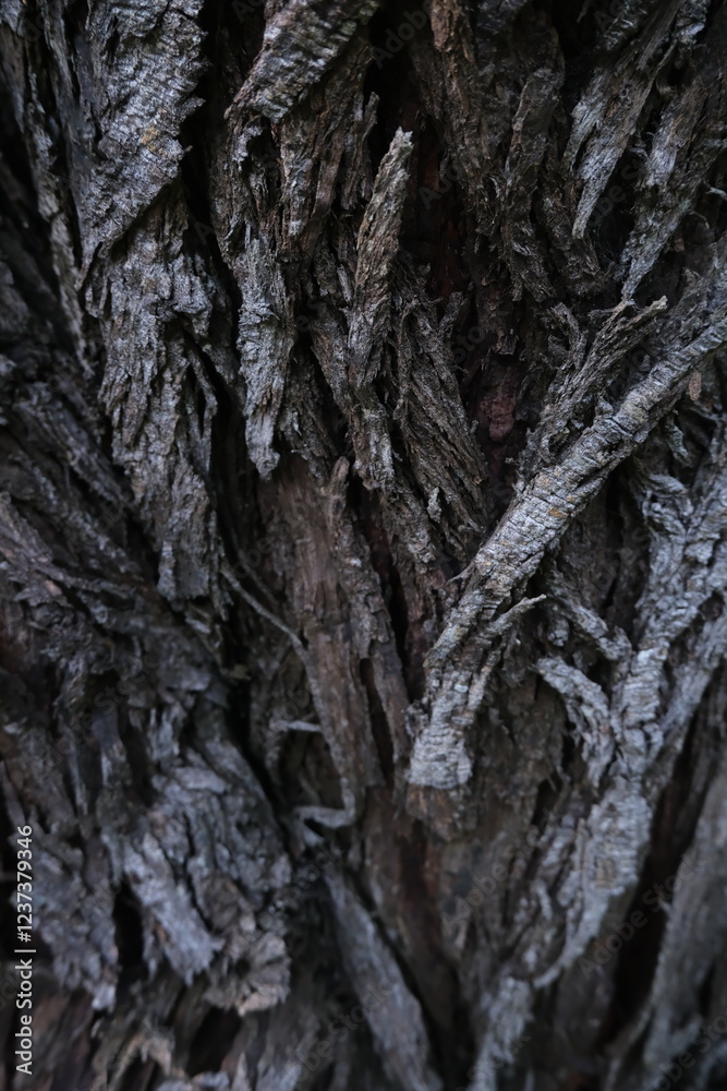 High-Resolution Wooden Board Texture for Mockup and Design Projects High-Resolution Wooden Board Texture for Mockup and Design Projects