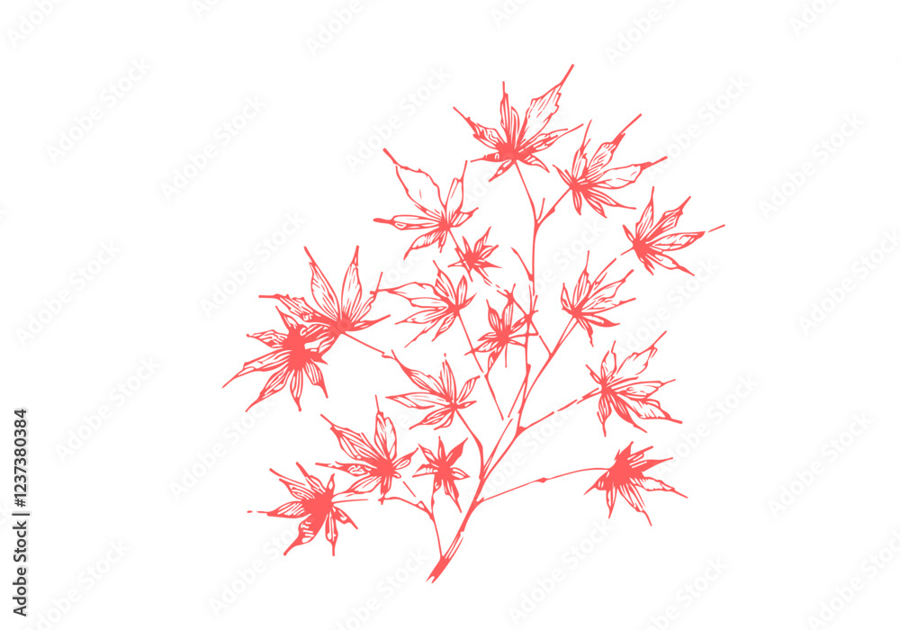 Japanese Maple Bonsai hand drawn sketch vector illustration isolated Japanese Maple Bonsai hand drawn sketch vector illustration isolated