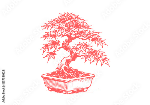 Japanese Maple Bonsai hand drawn sketch vector illustration isolated