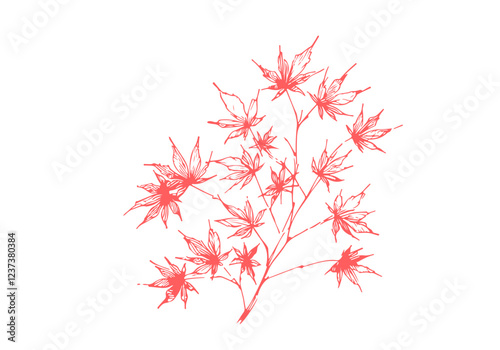 Japanese Maple Bonsai hand drawn sketch vector illustration isolated