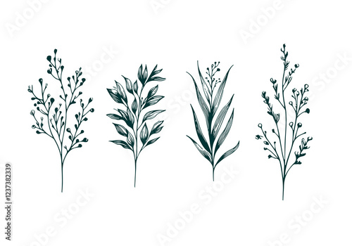 Mixed Decorative Plant hand drawn sketch vector illustration isolated