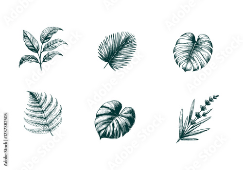 Mixed Decorative Plant hand drawn sketch vector illustration isolated