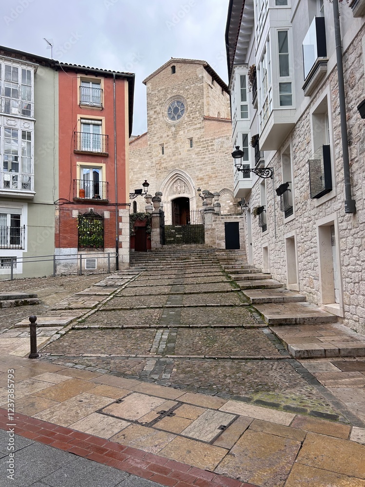 Fototapeta premium street in the town country