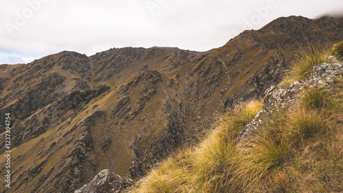 Tableau sur toile Beautiful mountainous hill landscape central otago new zealand yellow grass low