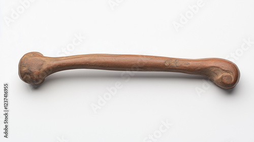 Ancient Bone Artifact: Clos...