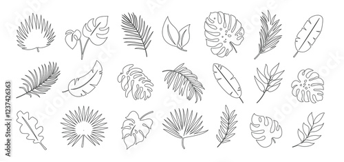Tropical leaves outline clipart set. Tropical leaves clip art in hand drawn icon collection black line drawing vector illustration.
