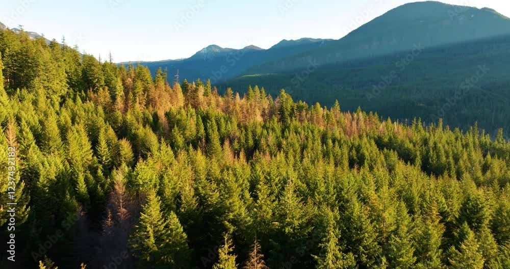 Aerial Drone Views Of Willamette National Forest Oregon At Sunset