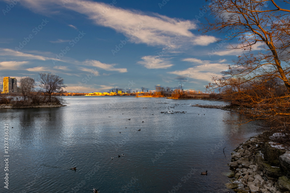 City skyline viewed from a tranquil lake, birds resting on the water. City skyline viewed from a tranquil lake, birds resting on the water.