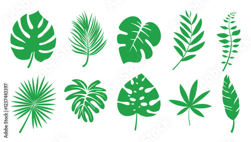 Vector tropical leaves, palm leaves, palm branches, Monstera, tropical, Party decoration.