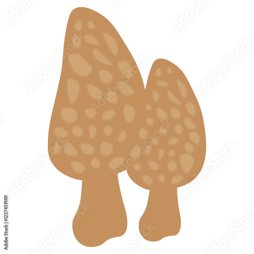 Ascomycota
