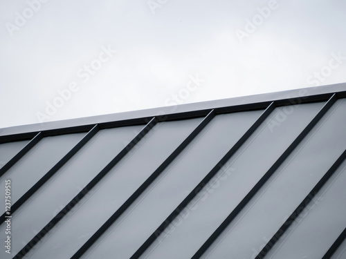 Modern Tray Metal Roof and Black Standing Seam Panels Against Cloudy Sky