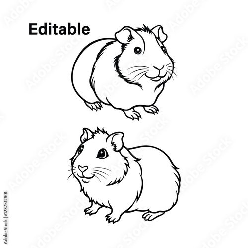 Hamster, hamster vector set, cute hamster, hamster illustration, hamster drawing