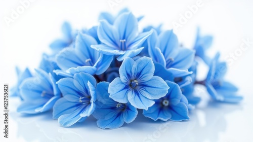 Surreal Blue Flowers in Minimalist Composition, Evoking Tranquility and Natural Elegance
