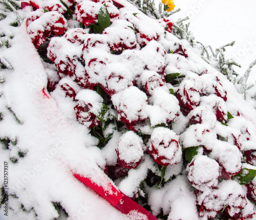 Canvas Print roses in the snow at the grave monument