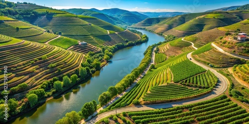 Drone footage of vineyards along the Duoro River in Portugal's Duoro Valley with lush greenery and sunlit rows of grapes , scenic landscape, vineyards photo