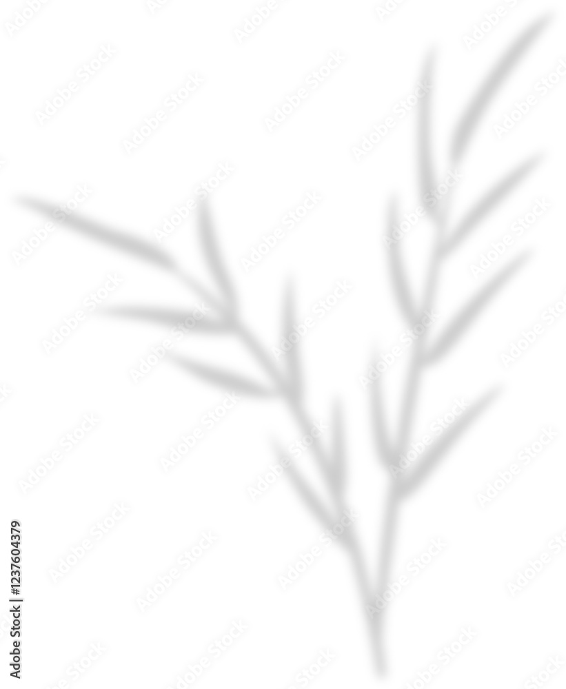 Fototapeta premium shadow leaf decoration 