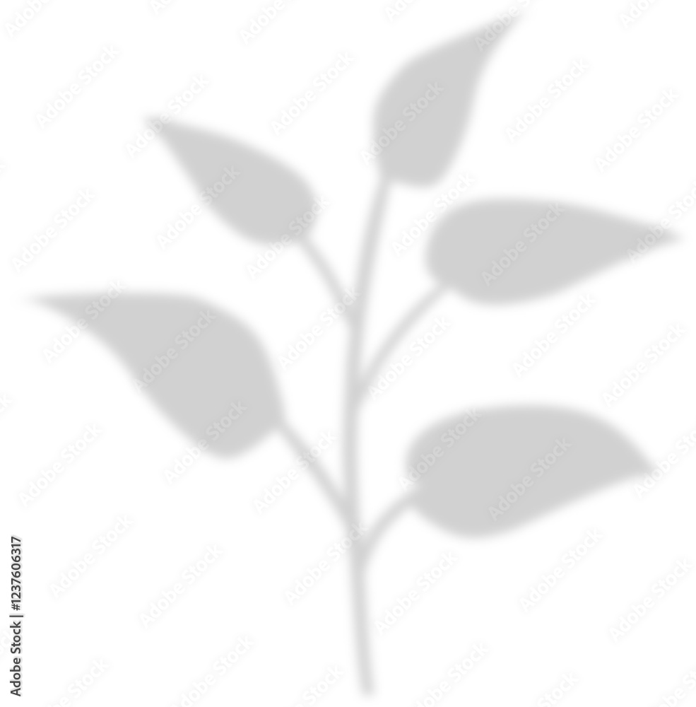 Obraz premium shadow leaf decoration 