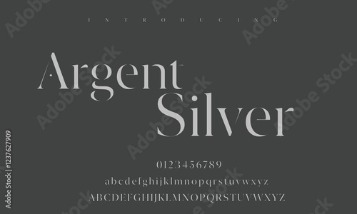 High-Quality Custom Fonts | Stylish, Modern & Classic Typefaces for Designers