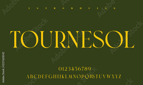 High-Quality Custom Fonts | Stylish, Modern & Classic Typefaces for Designers