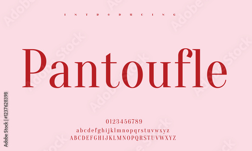 High-Quality Custom Fonts | Stylish, Modern & Classic Typefaces for Designers