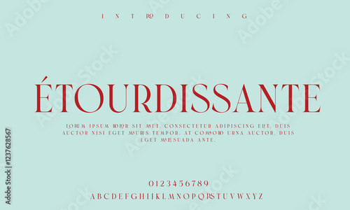 High-Quality Custom Fonts | Stylish, Modern & Classic Typefaces for Designers