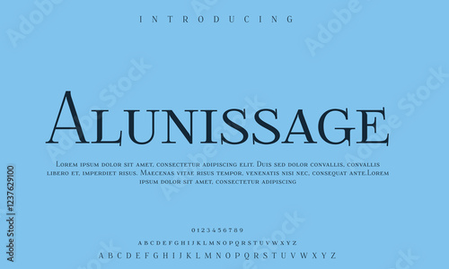 High-Quality Custom Fonts | Stylish, Modern & Classic Typefaces for Designers