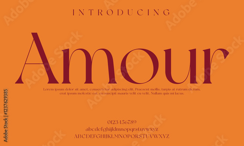 High-Quality Custom Fonts | Stylish, Modern & Classic Typefaces for Designers