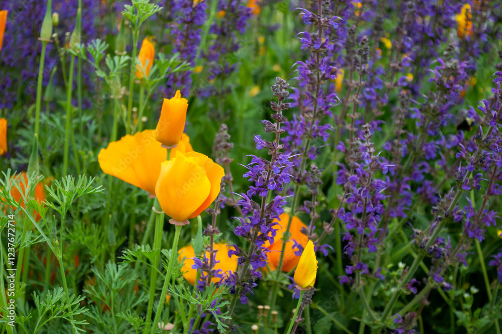 custom made wallpaper toronto digitalyellow tulips in spring