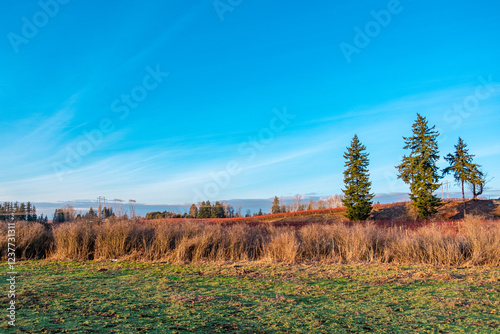 Rural area in Langley, BC