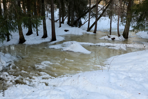 Obraz na płótnie Winter