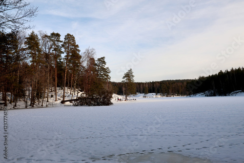 Obraz na płótnie Winter