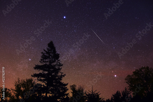 Milky Way stars with meteor shower trails and countryside tree silhouettes.