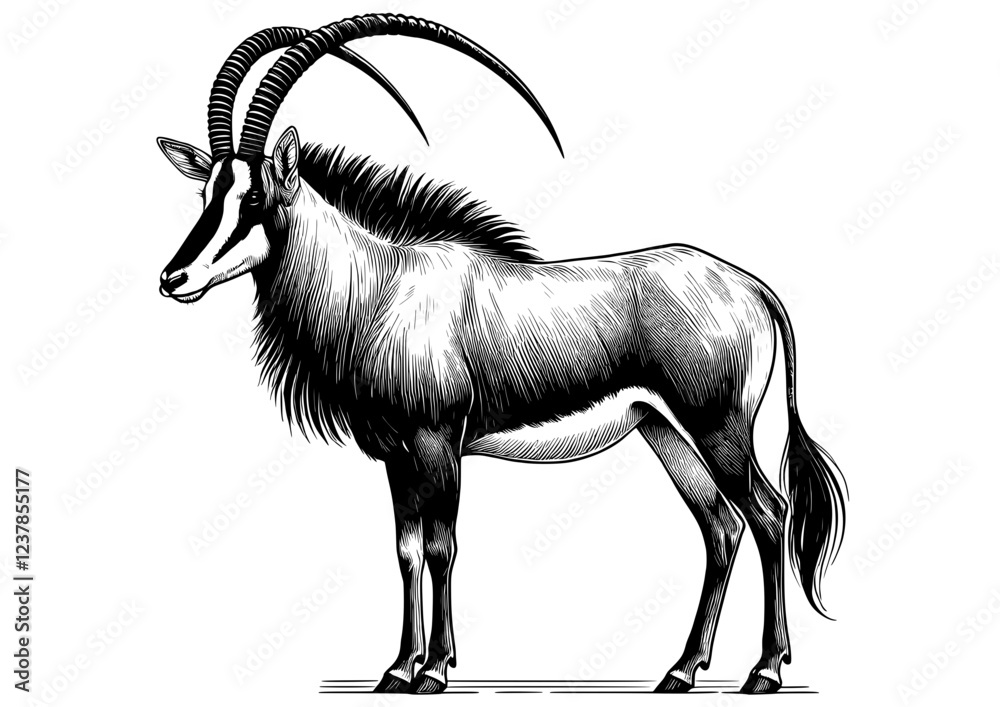 Sable Antelope Vector File