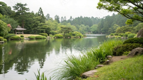 Soft focus on a serene body of water with lush surrounding greenery, foliage, plants, soft focus