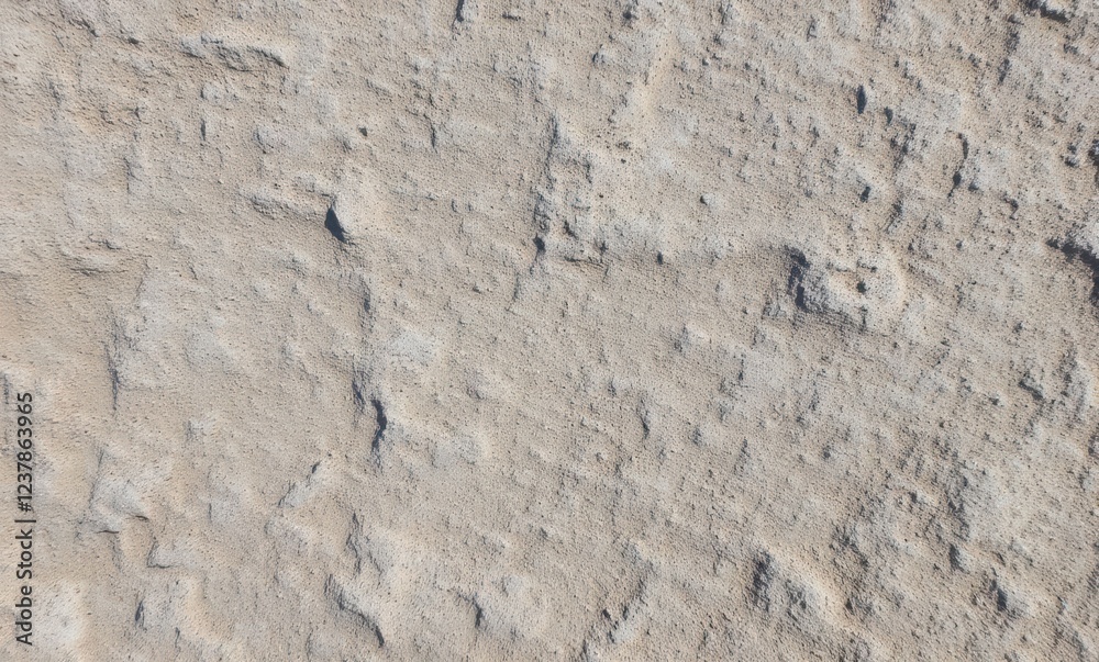 Close-up of textured stone surface Close-up of textured stone surface
