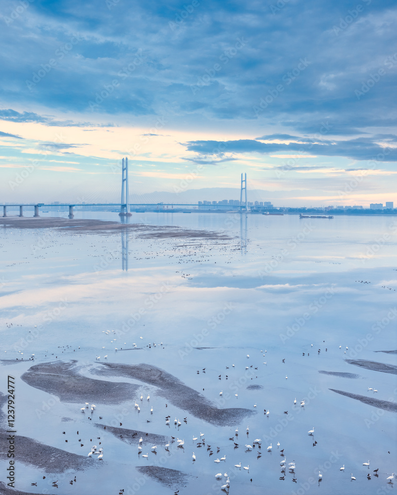 serene scene of the jiujiang yangtze river highway bridge in winter