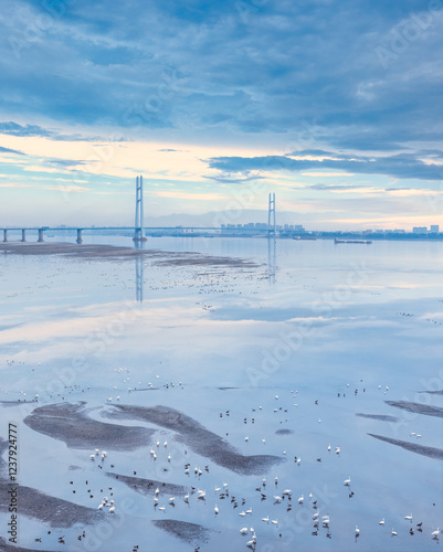 Obraz na płótnie serene scene of the jiujiang yangtze river highway bridge in winter w salonie