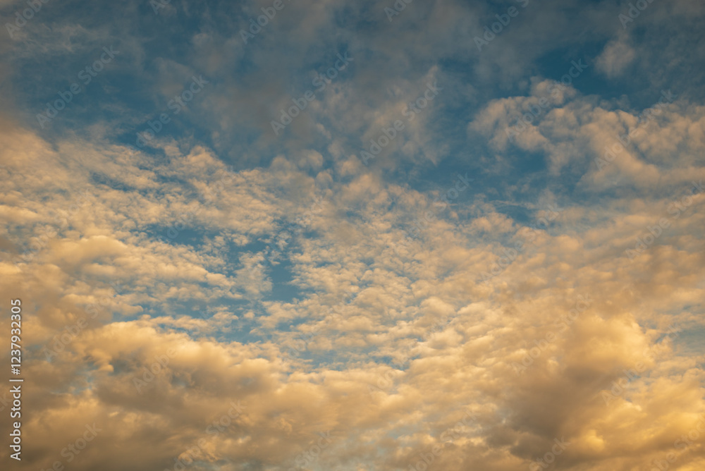 Fototapeta premium Sky and clouds on a sunny day