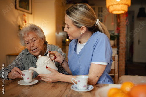 Obraz na płótnie Lovely eldery woman serving tea to friendly caregiver.