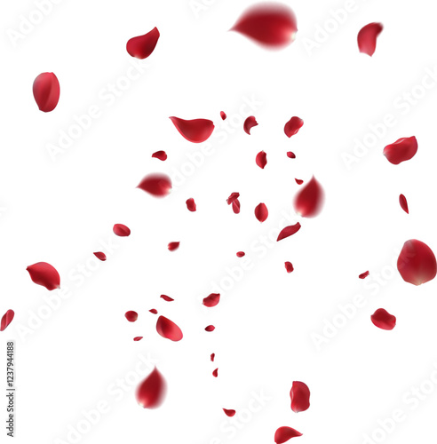 Rose petals or sakura flying background isolated on white backdrop, explosion, burst at the center. Festive illustration in flat modern simple style.