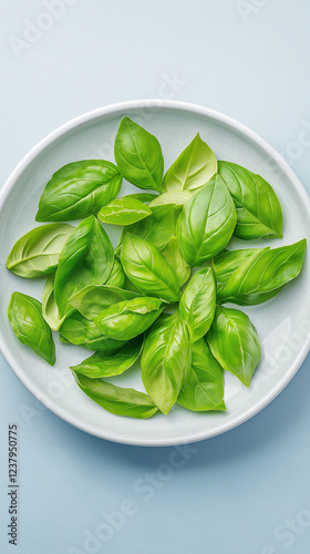 Fresh green basil leaves spreading across pristine white plate, contrasting soft blue backdrop. Highlighting culinary herb's vivid color and natural texture for food preparation concepts