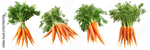 Set of bunches of delicious orange carrots with green tops, isolated on transparent cutout background
