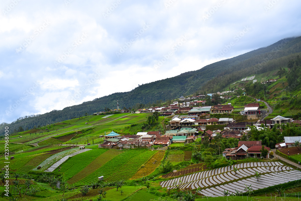 Fototapeta premium Landscape view of village on a green hillside with terraced rice fields, surrounded by mountains with a cloudy sky. Tawangmangu, Indonesia